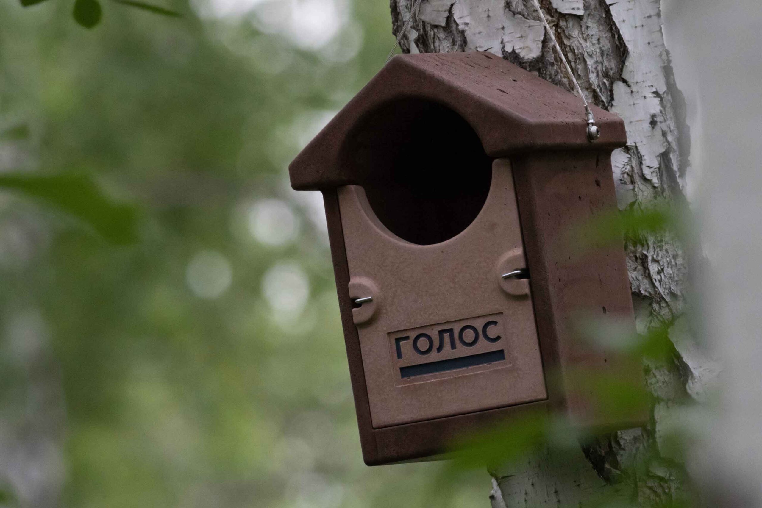 Newton_nestbox_big_hole