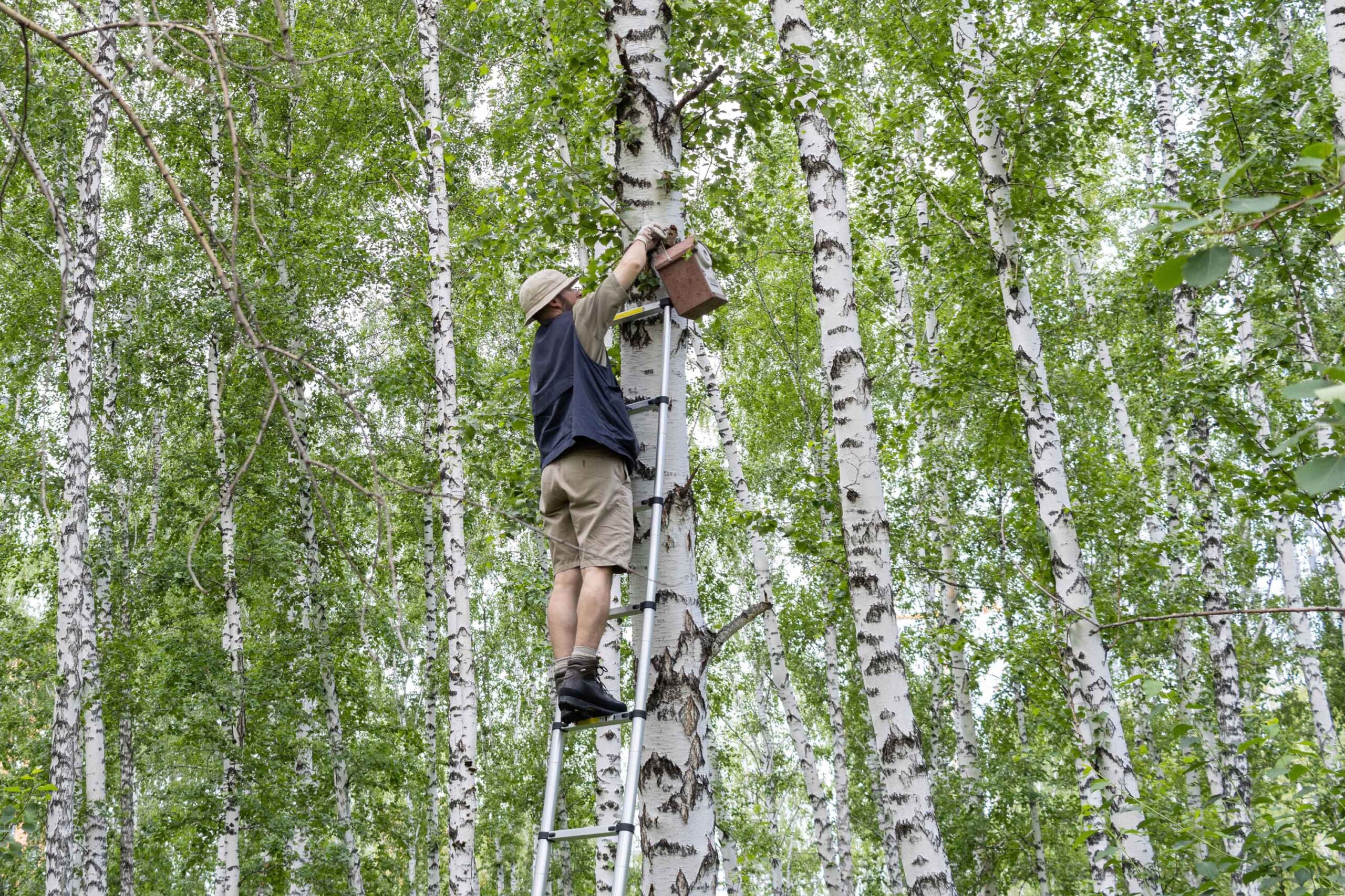 Newton_nestbox_hanging